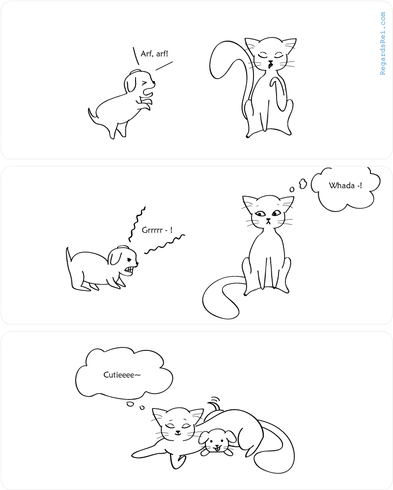 150701-4-cat-puppy.png